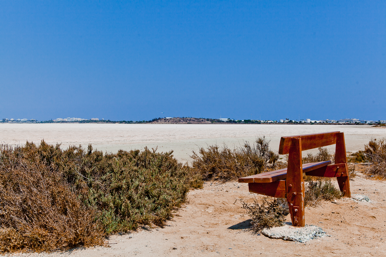 Larnaca Salt lake