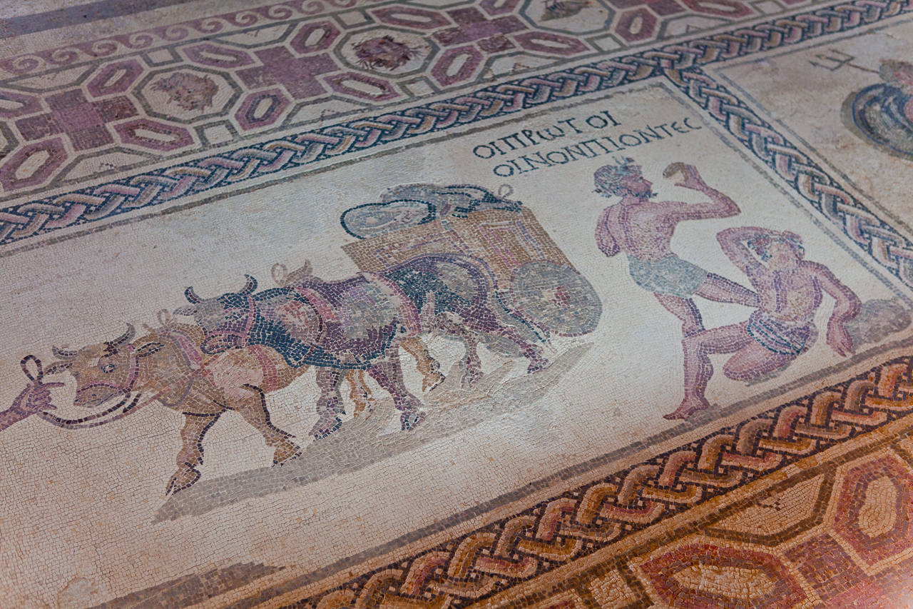 Paphos Archaeological Park