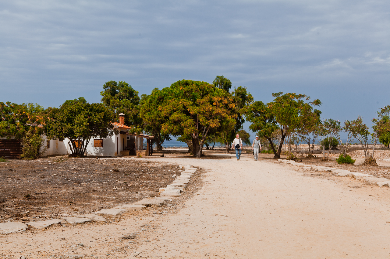 Paphos Archaeological Park