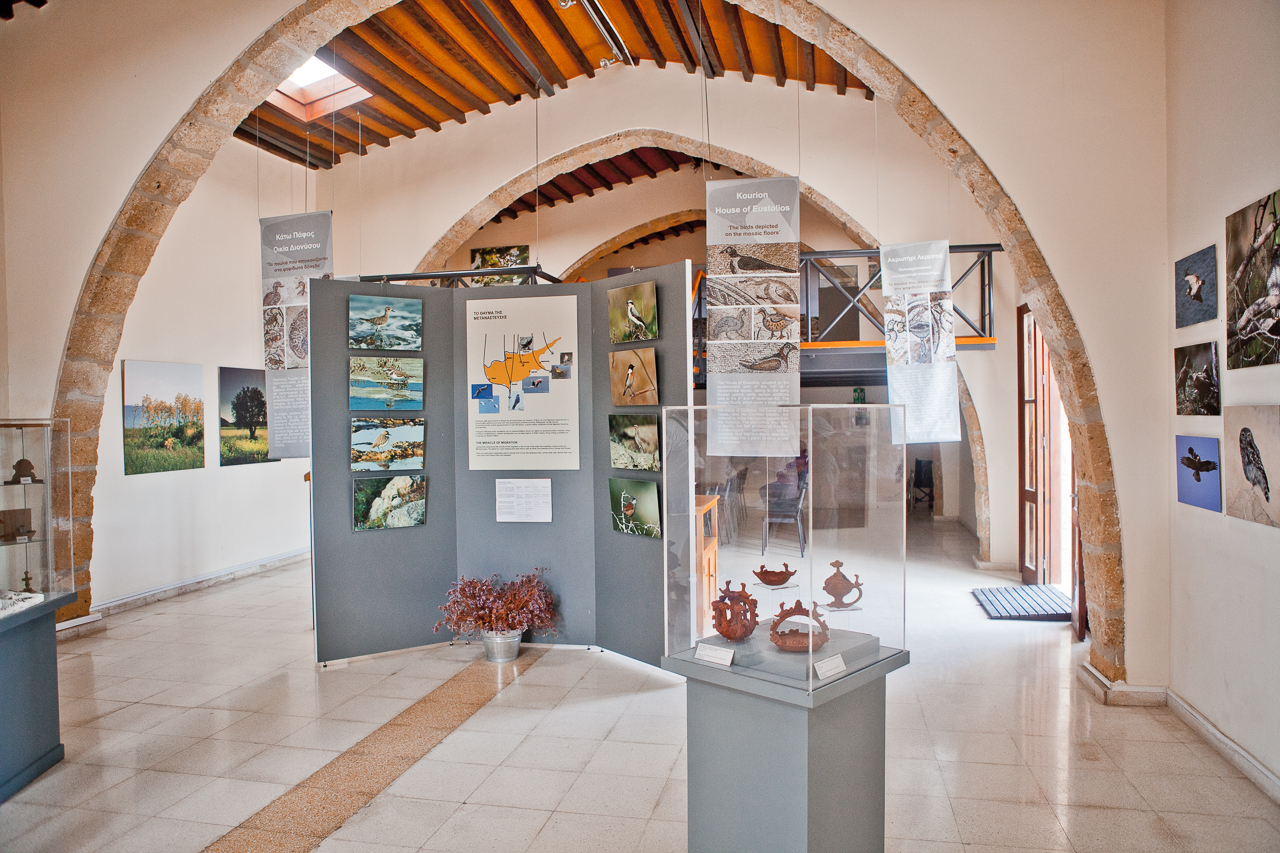 Paphos Archaeological Park