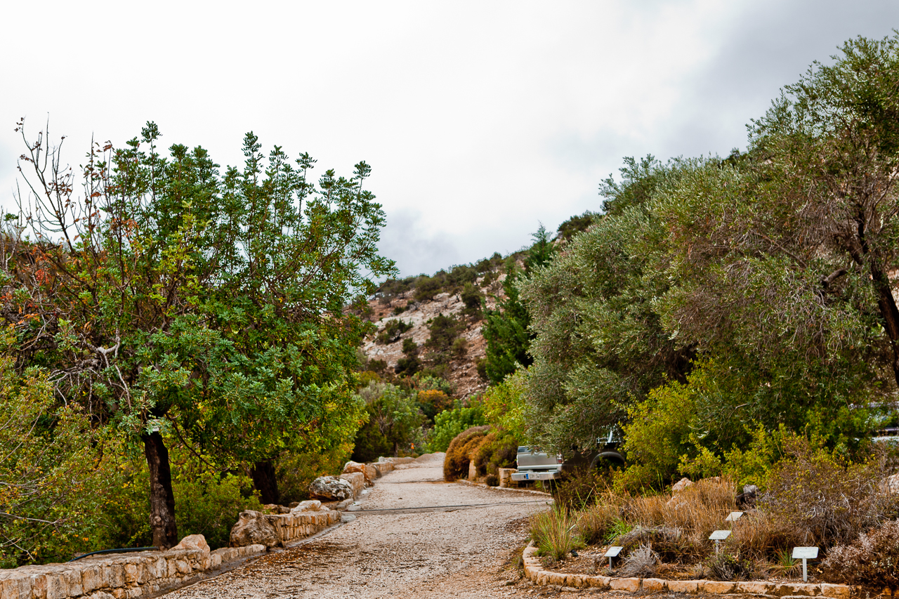 the Baths of Aphrodite