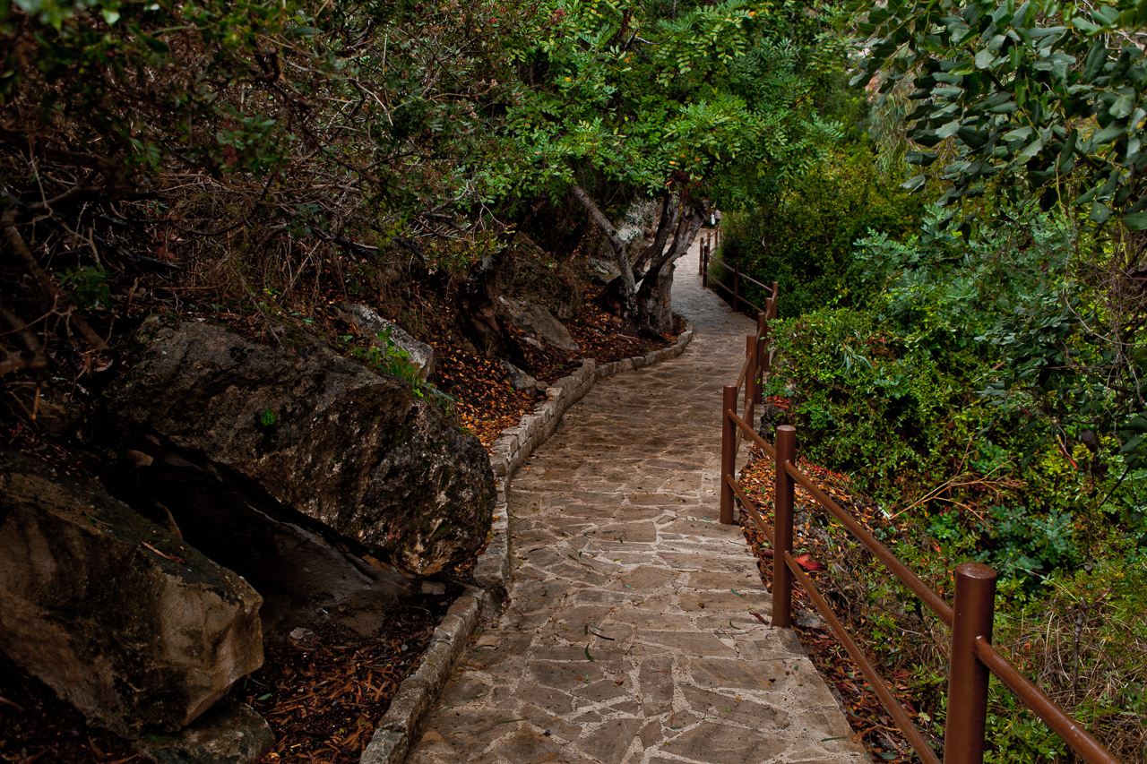 the Baths of Aphrodite