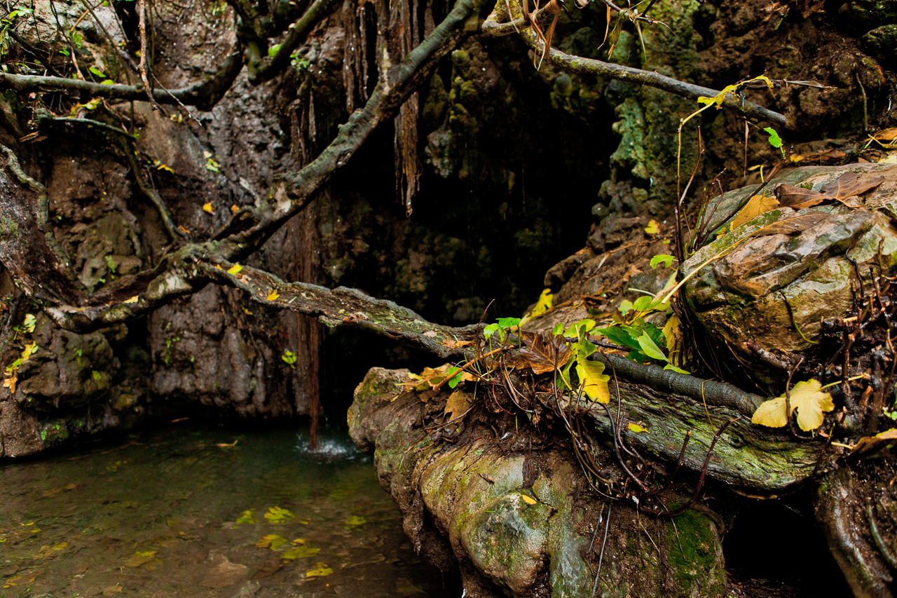 the Baths of Aphrodite