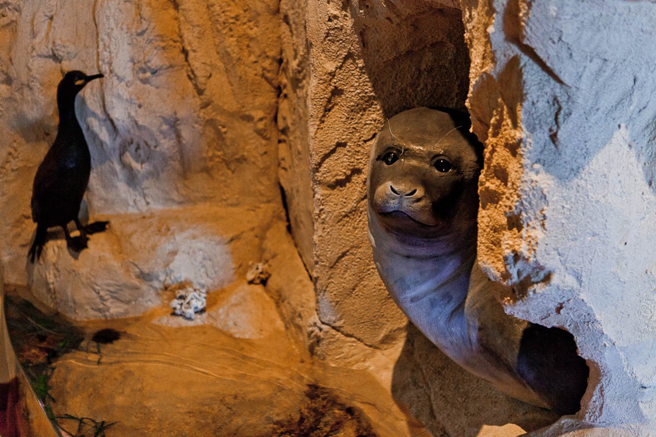 The Akrotiri Environmental Education Centre