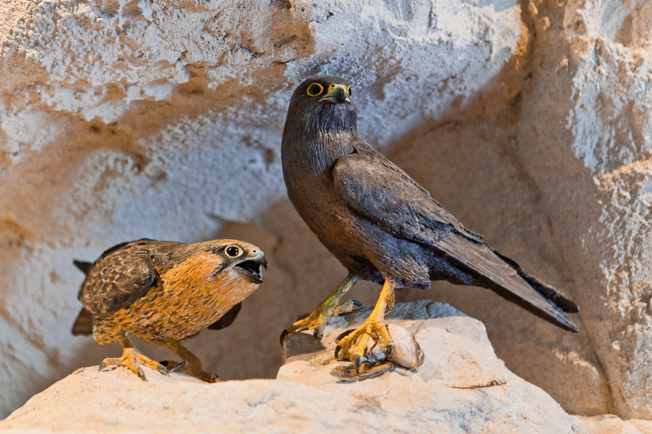 The Akrotiri Environmental Education Centre