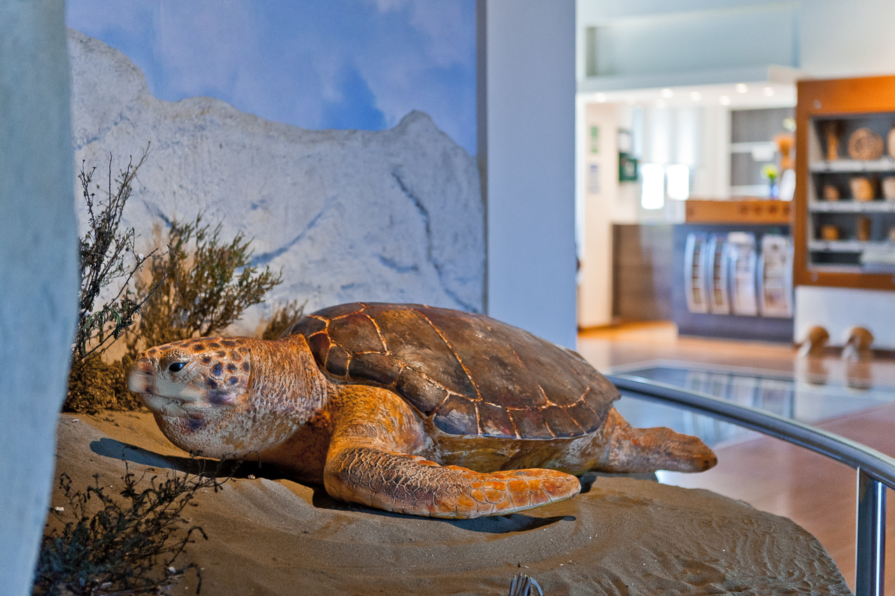 The Akrotiri Environmental Education Centre