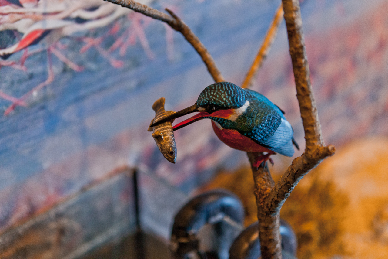 The Akrotiri Environmental Education Centre