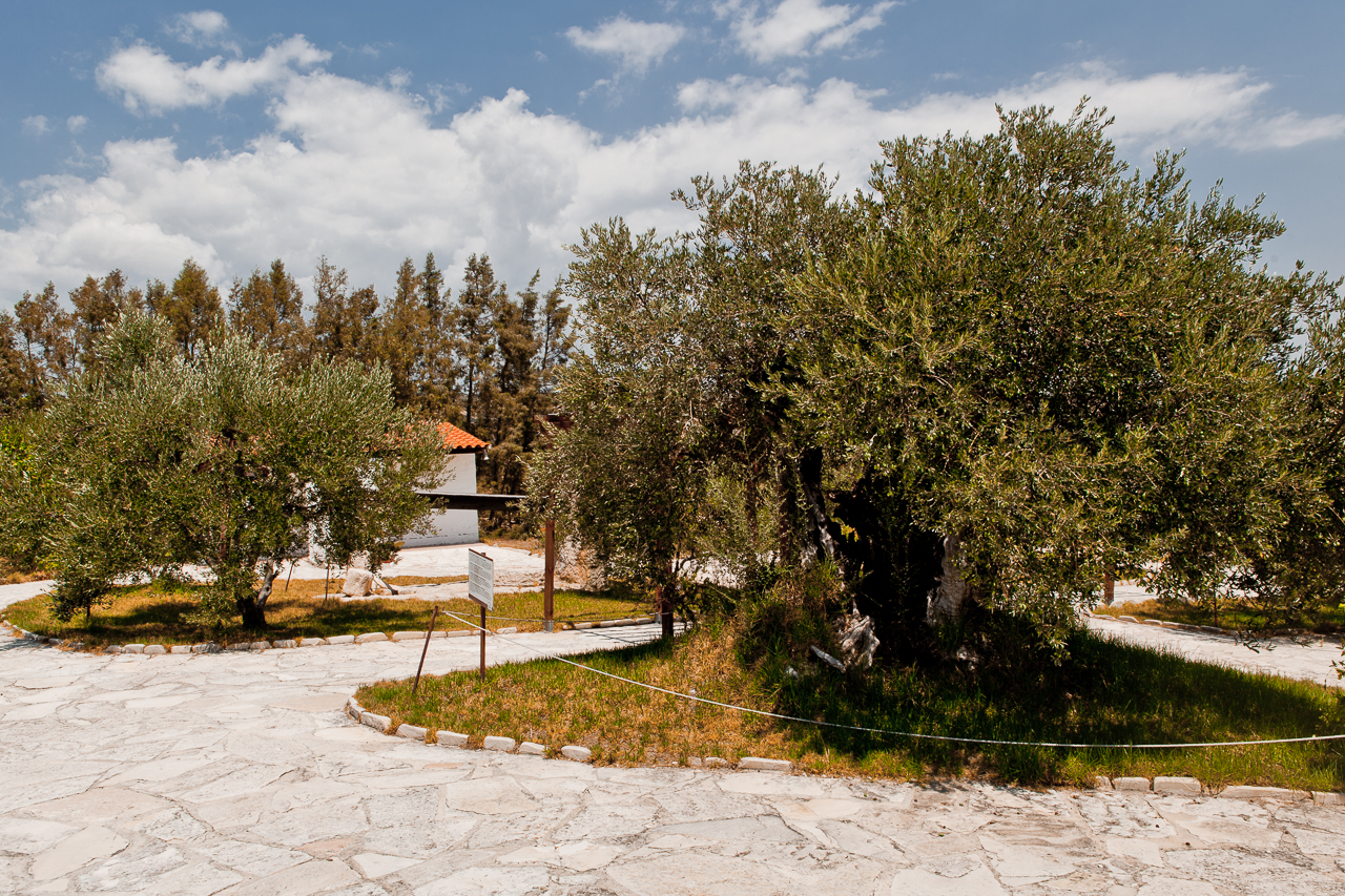 Anogyra Village, Cyprus