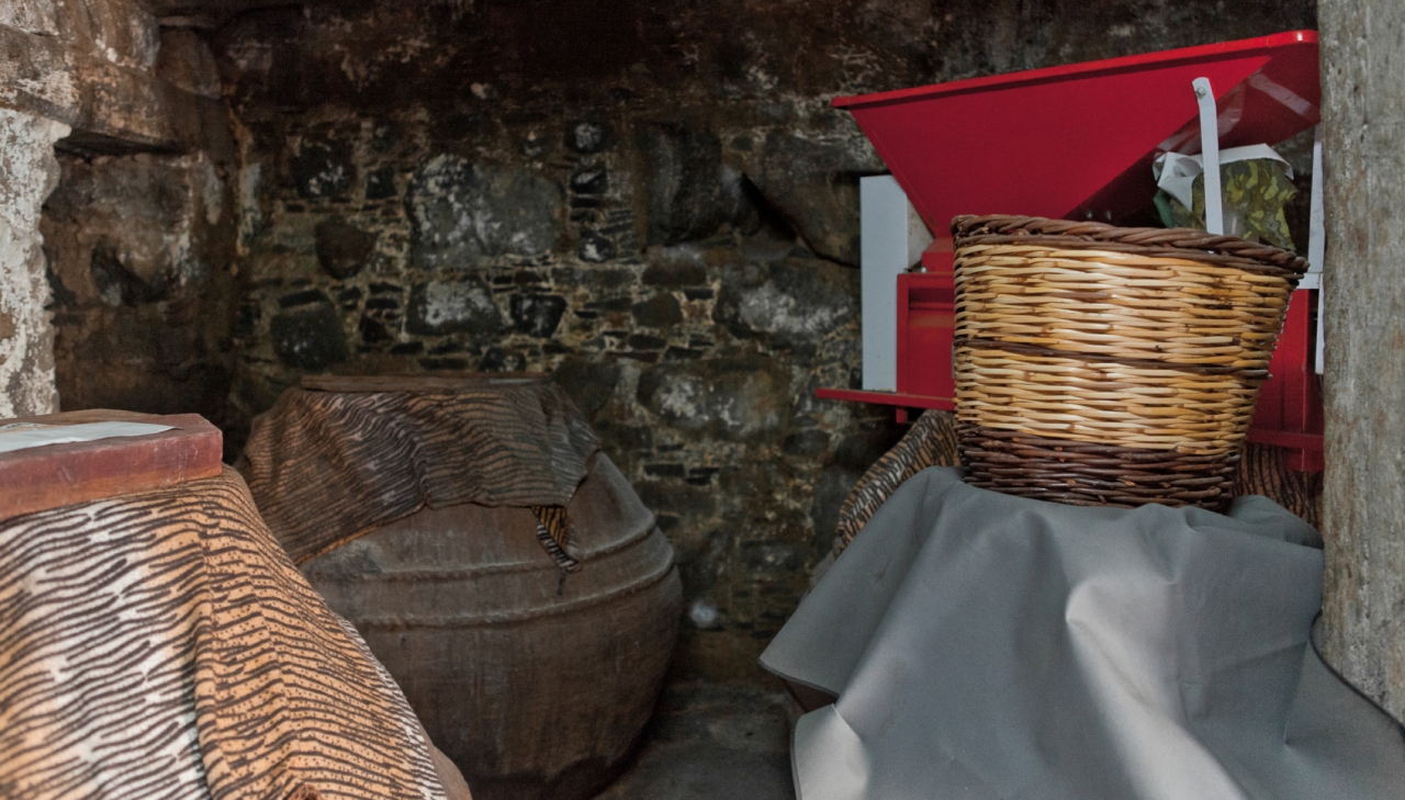 Guest to a winemaker, Platanistasa, Cyprus
