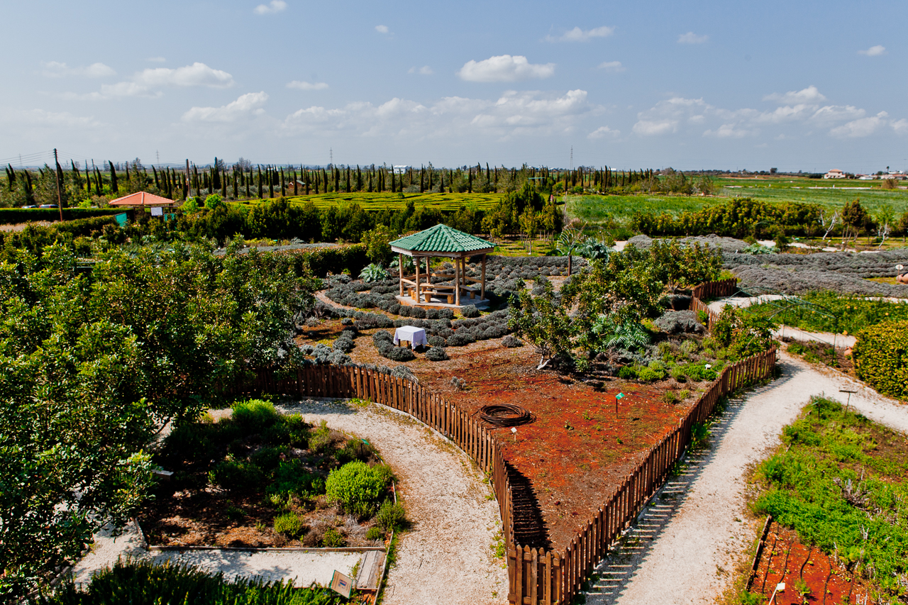 Botanical park Cyherbia in Avgorou village