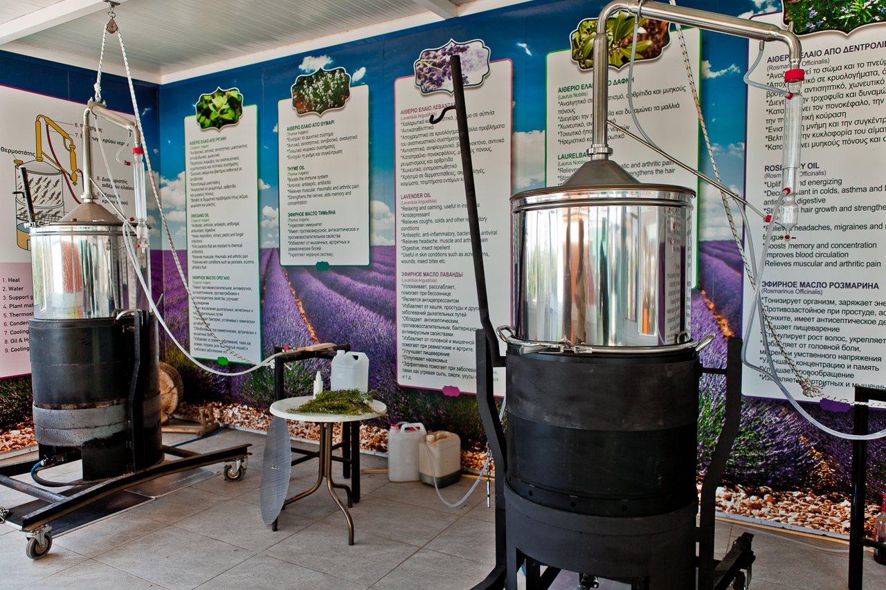 Botanical park Cyherbia in Avgorou village