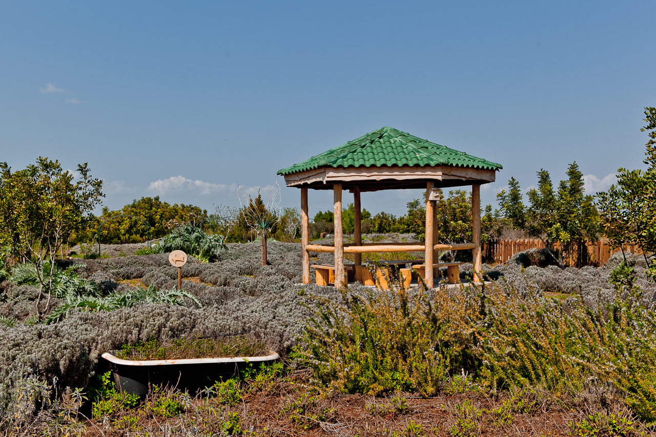 Botanical park Cyherbia in Avgorou village
