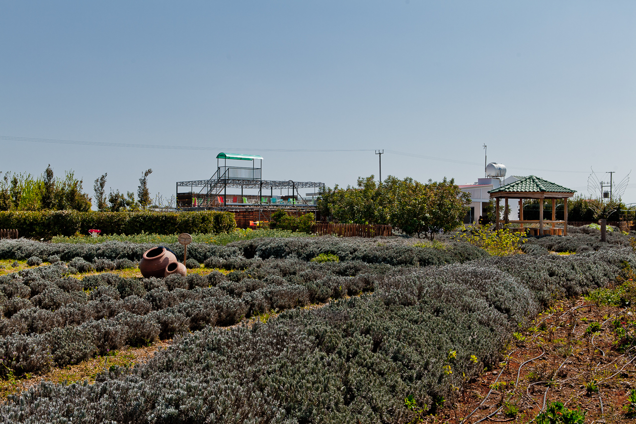 Botanical park Cyherbia in Avgorou village