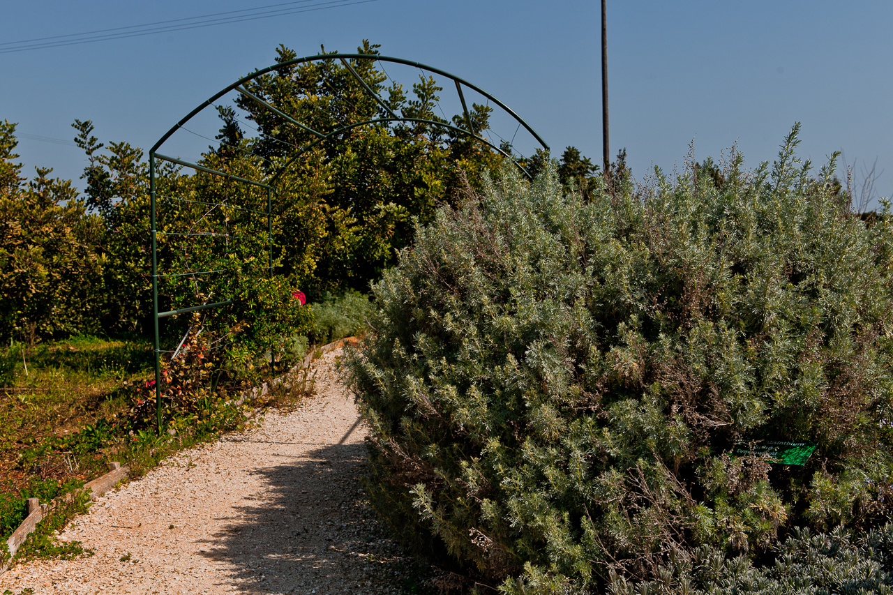 Botanical park Cyherbia in Avgorou village