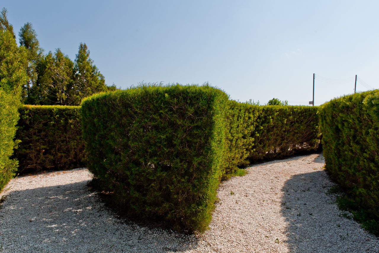 Botanical park Cyherbia in Avgorou village