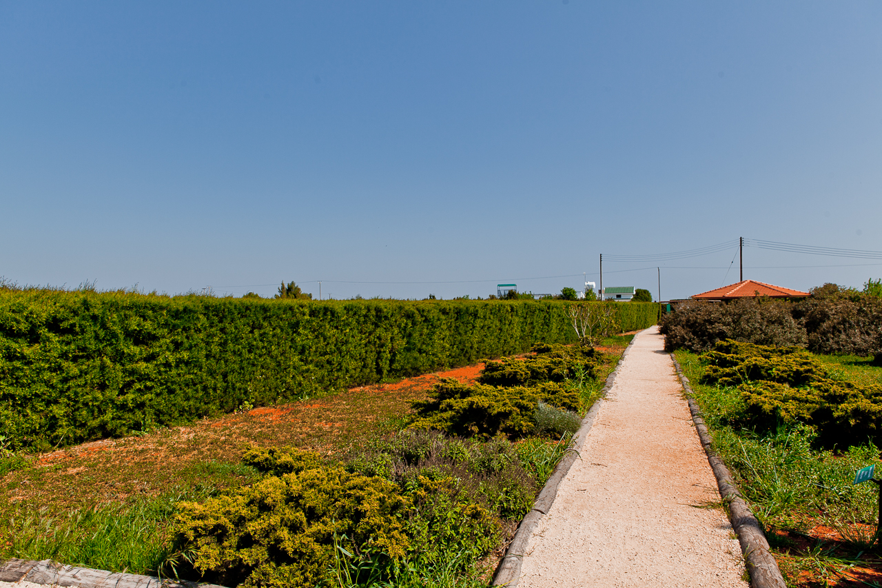 Botanical park Cyherbia in Avgorou village