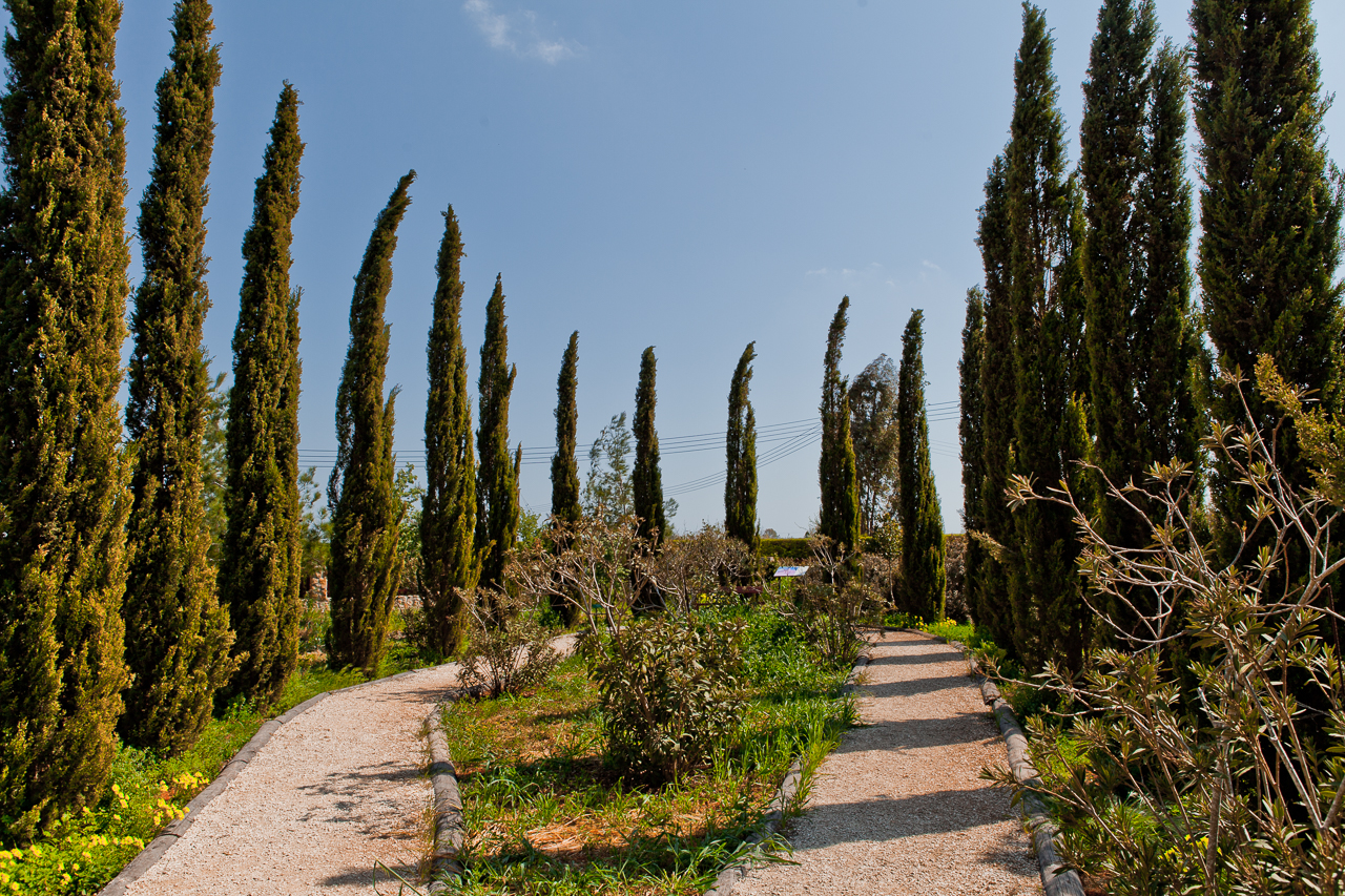 Botanical park Cyherbia in Avgorou village