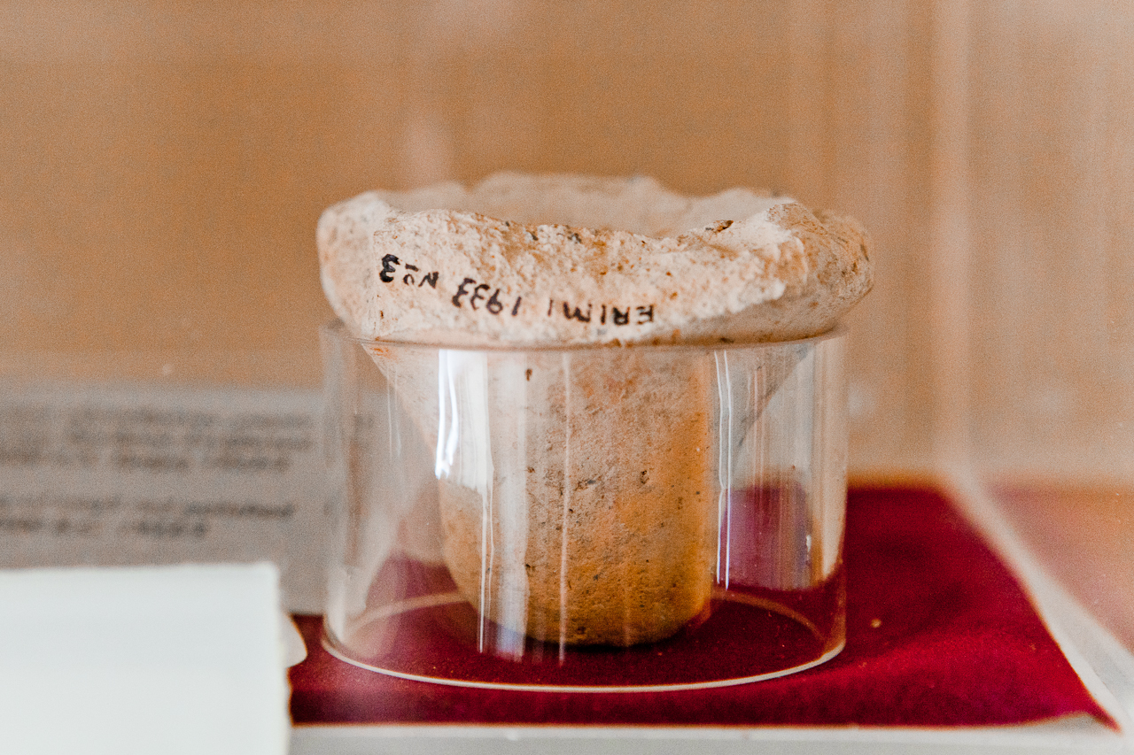 Cyprus Wine Museum in Erimi, Limassol: the island’s history and winemaking traditions Cyprus Wine Museum in Erimi, Limassol: the island’s history and winemaking traditions