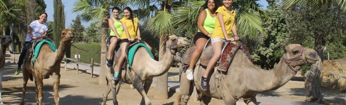 CamelPark, Larnaca