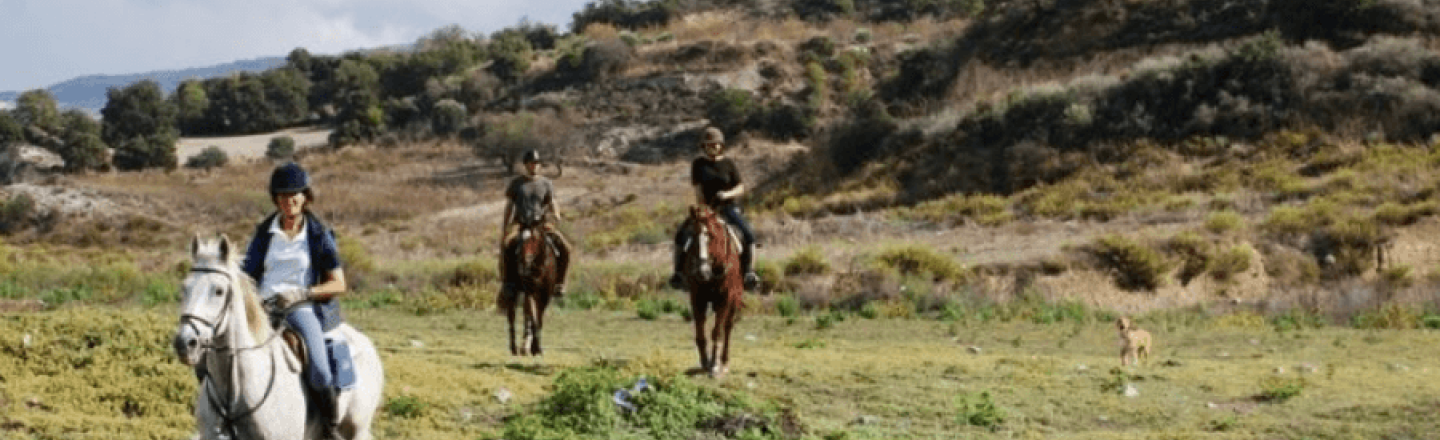 Центр конного спорта Ride in Pafos в районе Лисос в Пафосе
