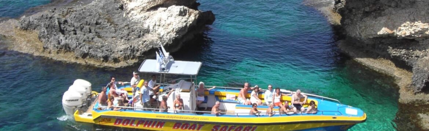 Лодочный центр Dolphin Boat Safari — лодочные круизы в Айя-Напе