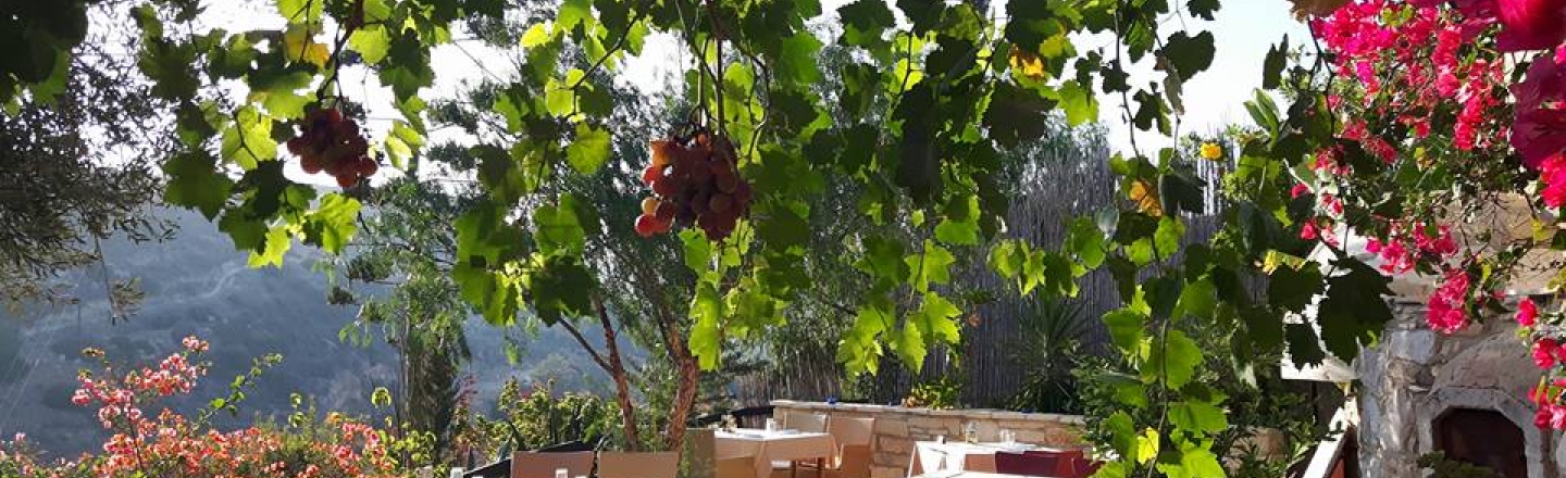 Tochni Taverna – Cyprus Villages, таверна Tochni Taverna в Ларнаке