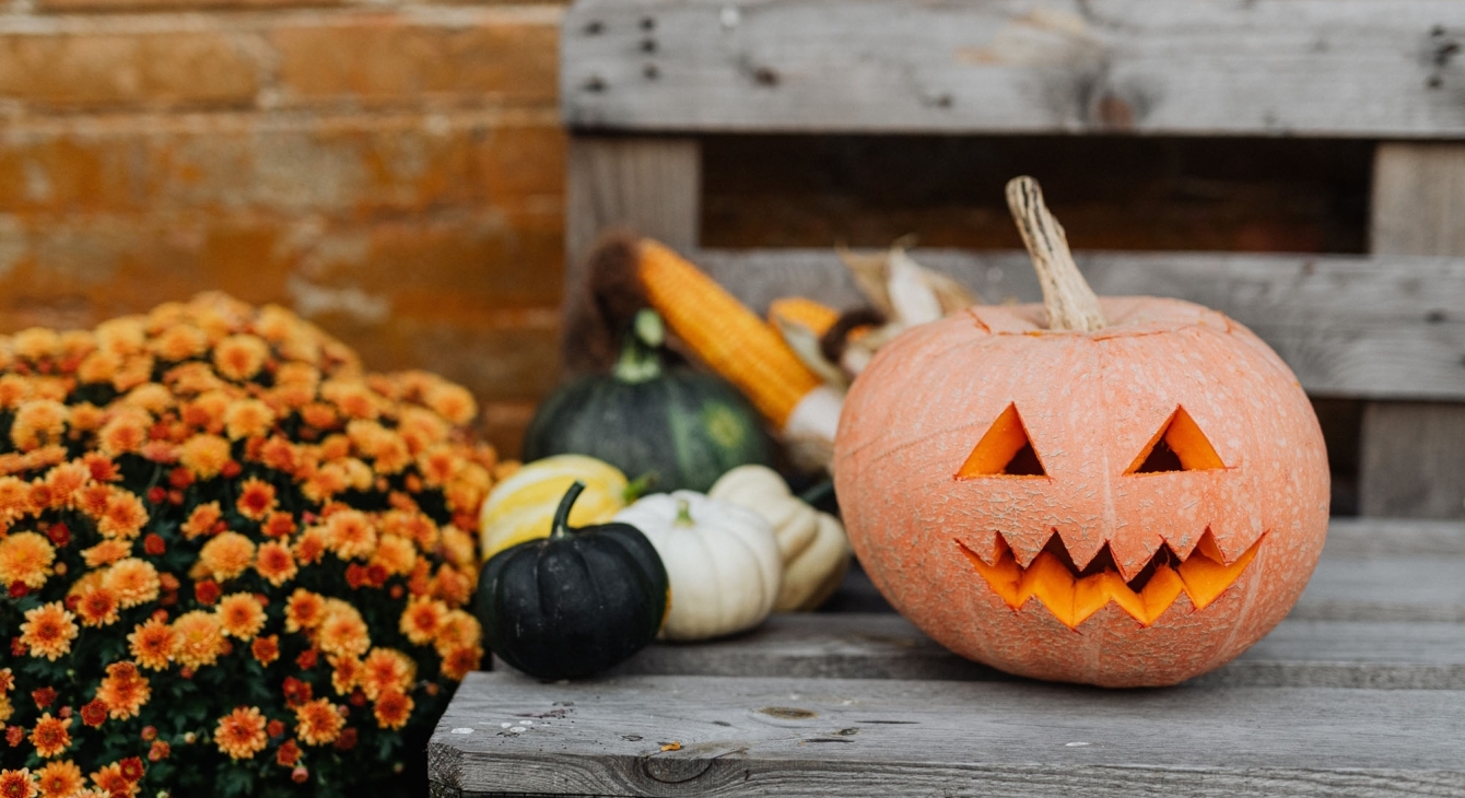 Spooky Scary Movies to watch on Halloween Spooky Scary Movies to watch on Halloween
