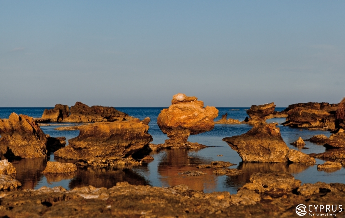 Kapparis, Cyprus